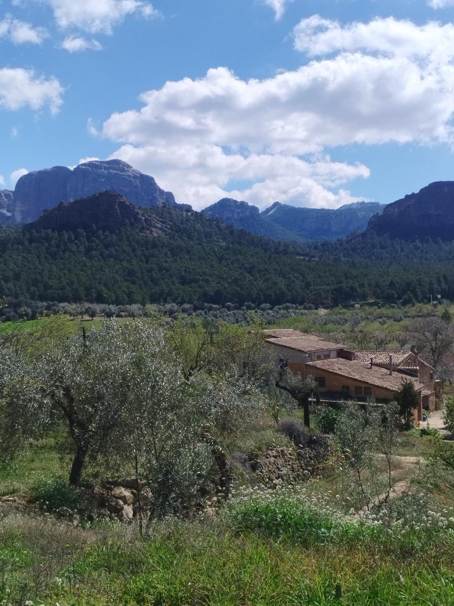 Mas De Manresa Apartment Horta de Sant Joan Luaran gambar